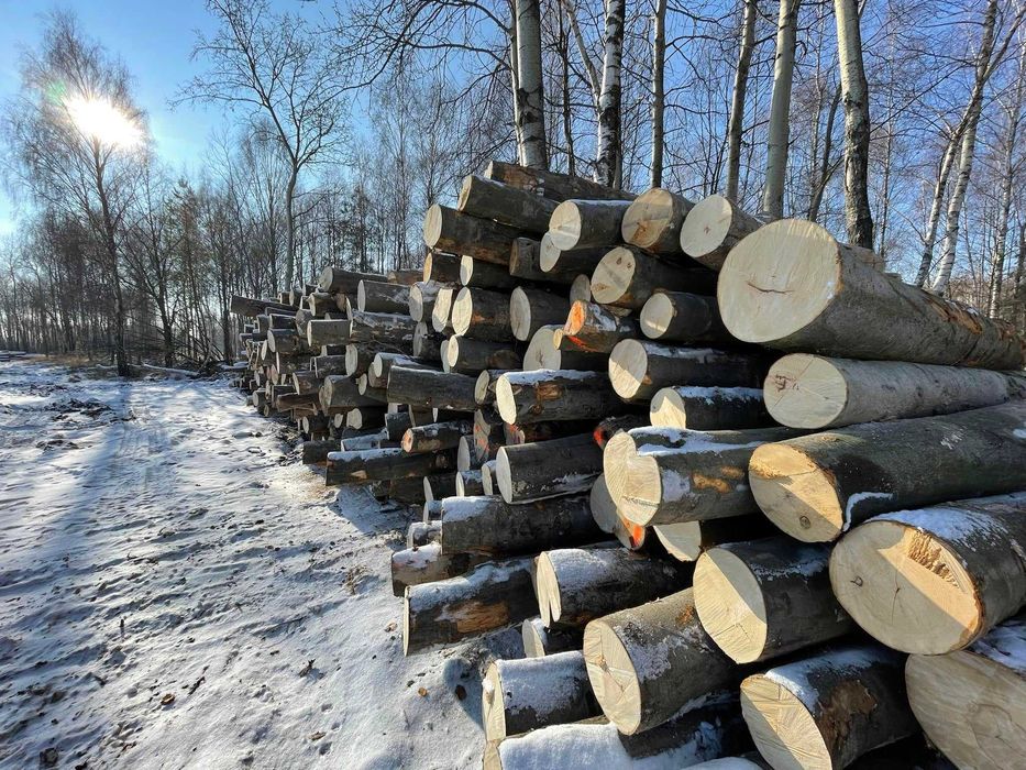 Drewno kominkowe buk, dąb