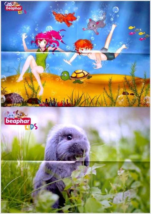 Plakaty - bajka i królik