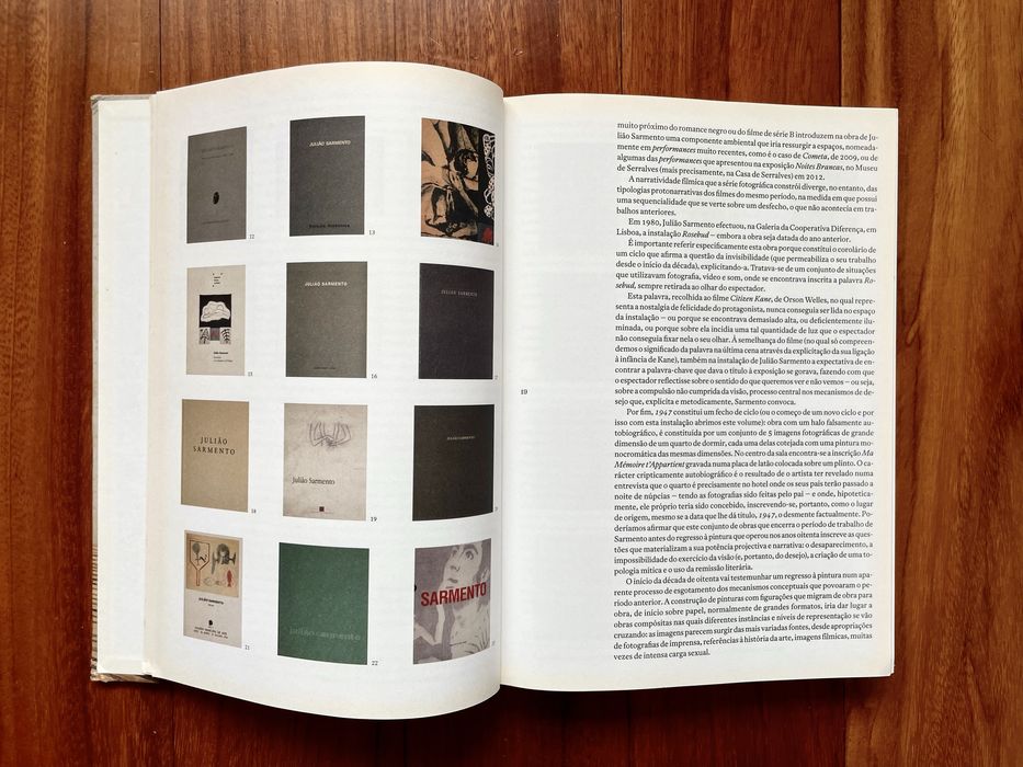 Delfim Sardo - Julião Sarmento: Risco Inerente/Inherent Risk