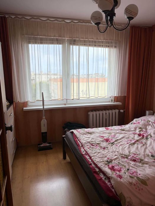 Zdjęcie 3