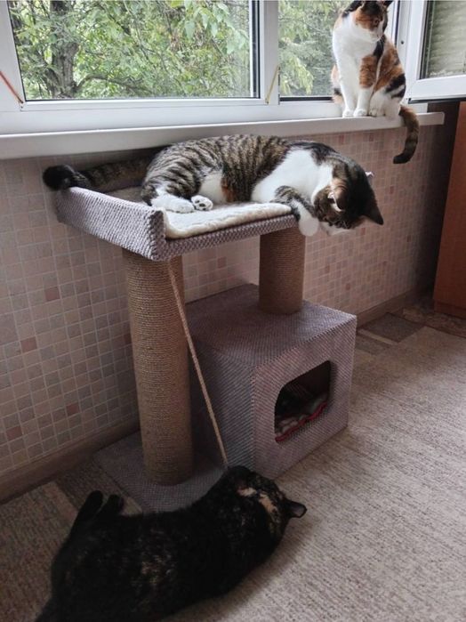 Когтеточка с лежанкой для кота