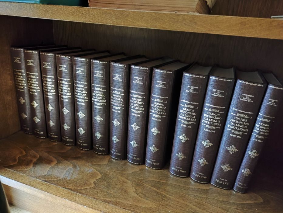 Grande dicionário da língua portuguesa ediclube novos 13 volumes