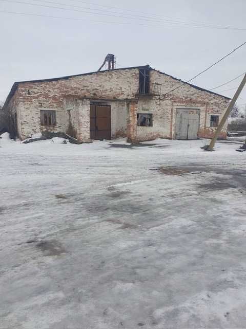 Майновий комплекс по переробці олійних культур