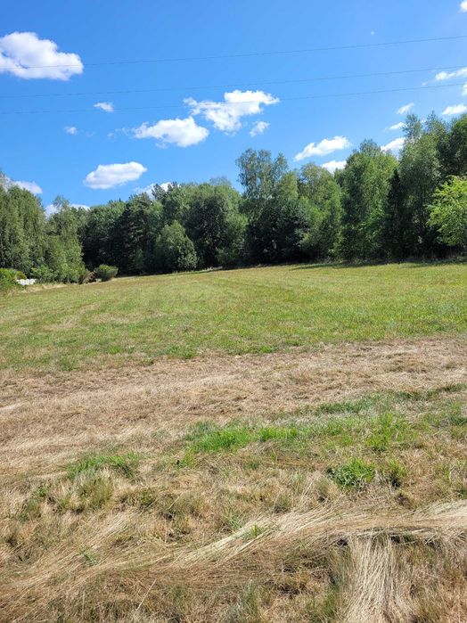 Działka 3200 m² z warunkami zabudowy – Parzno-Lesisko, gmina Kluki