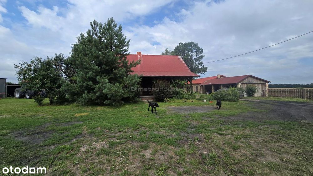 5,40ha#Idealne na stadninę #agroturystykę # Fermę