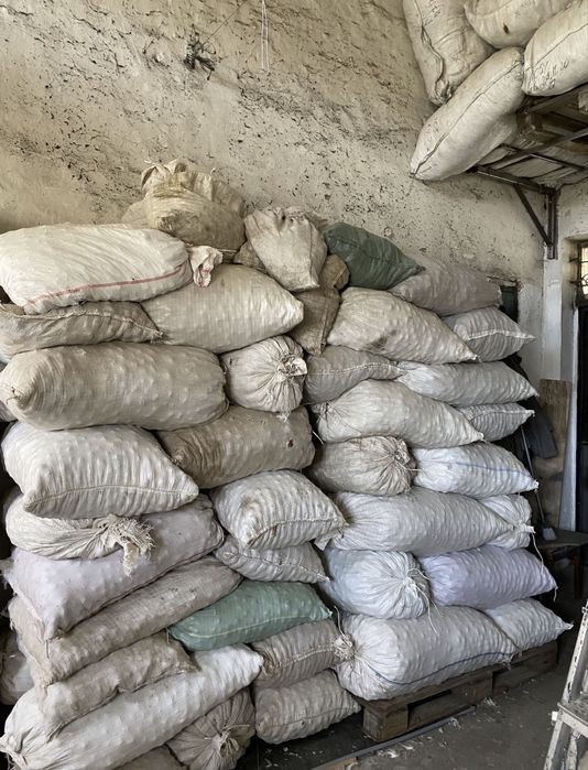 Грецький горіх волинська обл.  Ку..пимо