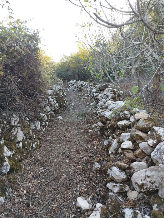 Limpeza de terrenos, caminhos de acesso e trilhos. 20€ h + deslocação