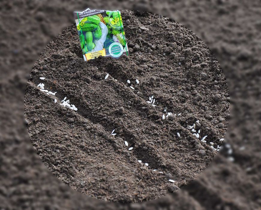 Ziemia przesiewana NAJLEPSZA OFERTA na rynku BIELSKO-BIAŁA 20 ton