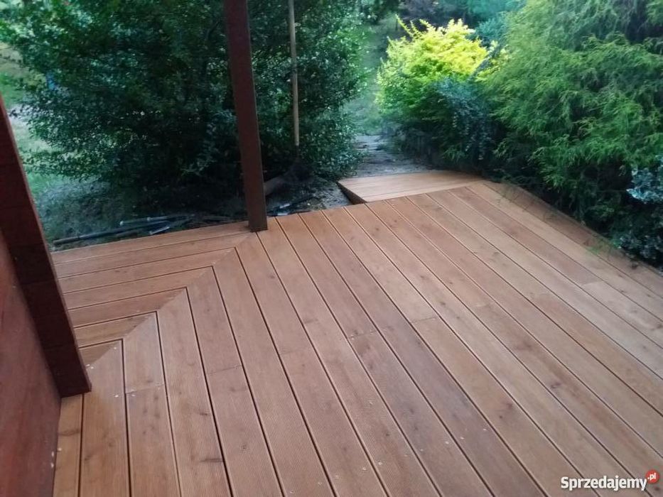 Modrzew syberyjski, Deska tarasowa, Taras,  PROMOCJA