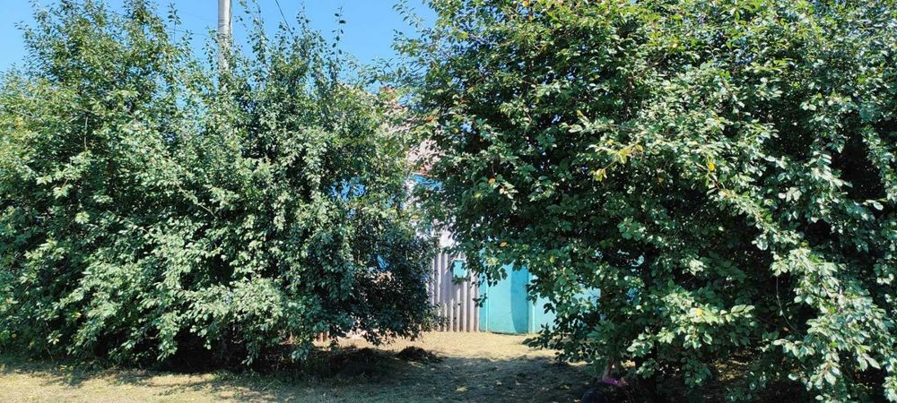Продам будинок Е-відновлення.S=55м2,с.Благодатне. - More
