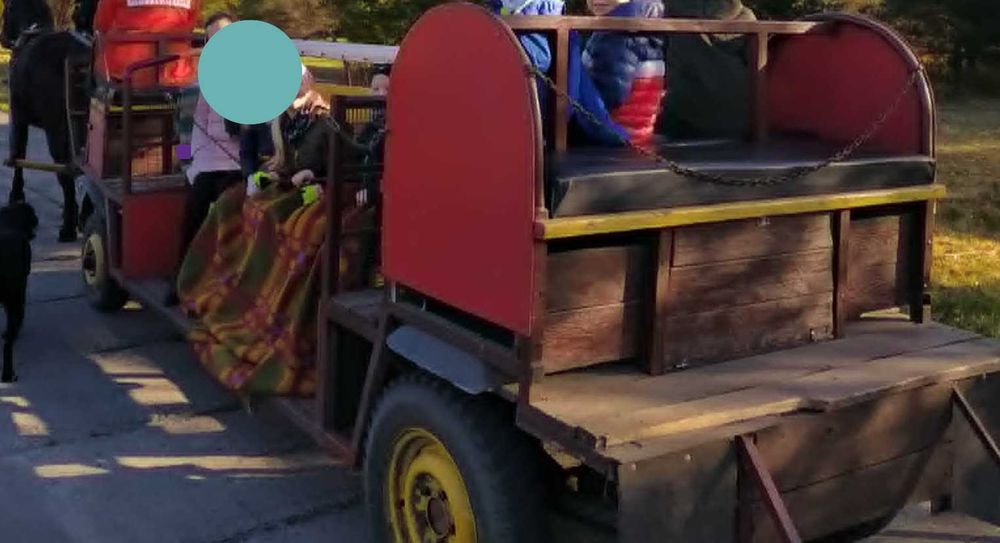 pojazd konny na 20 osób