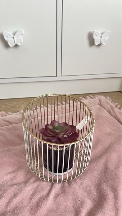 Композиция с суккулентом цветком декоративная подставка с цветком