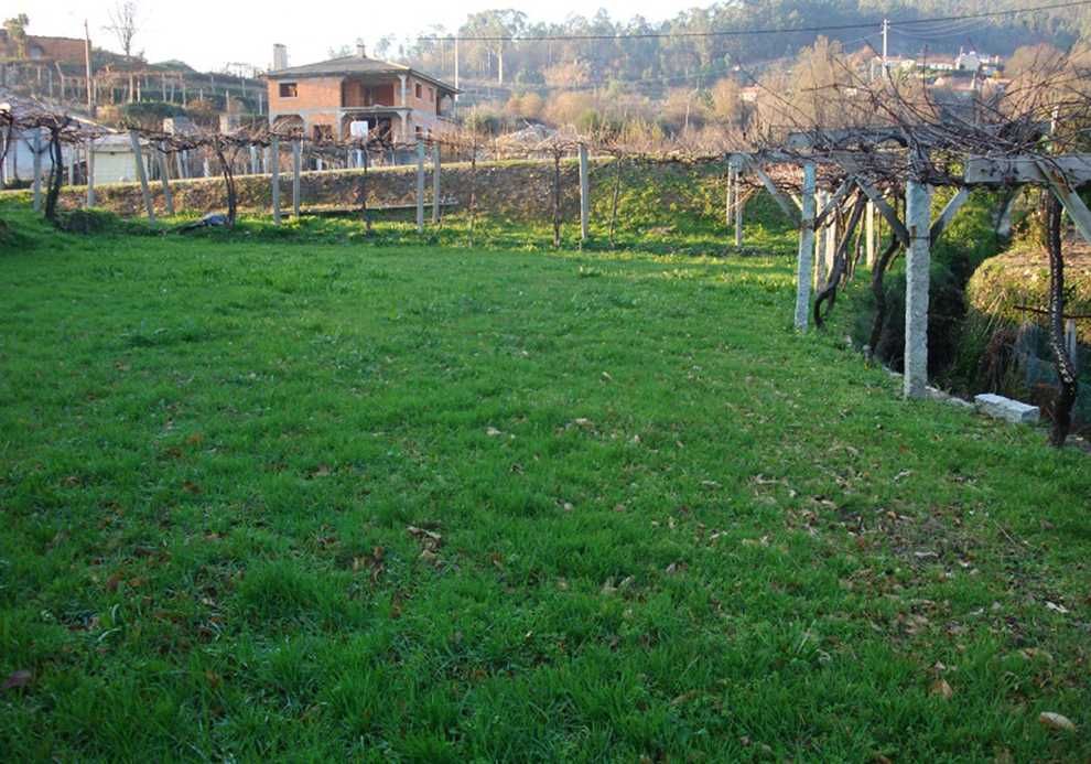 Terreno com viabilidade de construção com 610m2 - Vale de Cambra
