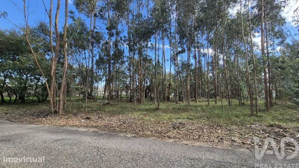 Terreno para construção em Pedreiras