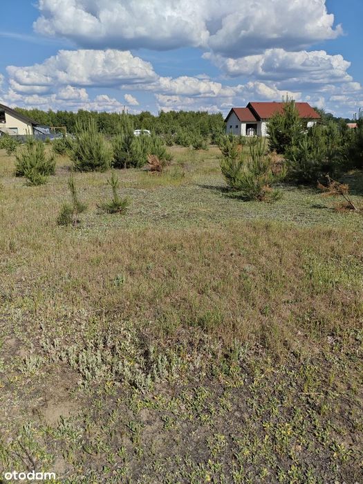 Działka budowlano- rekreacyjna Malanów powiat pabianicki - Widok 3