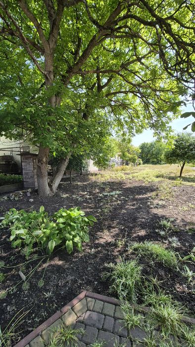 Частина будинку біля озера