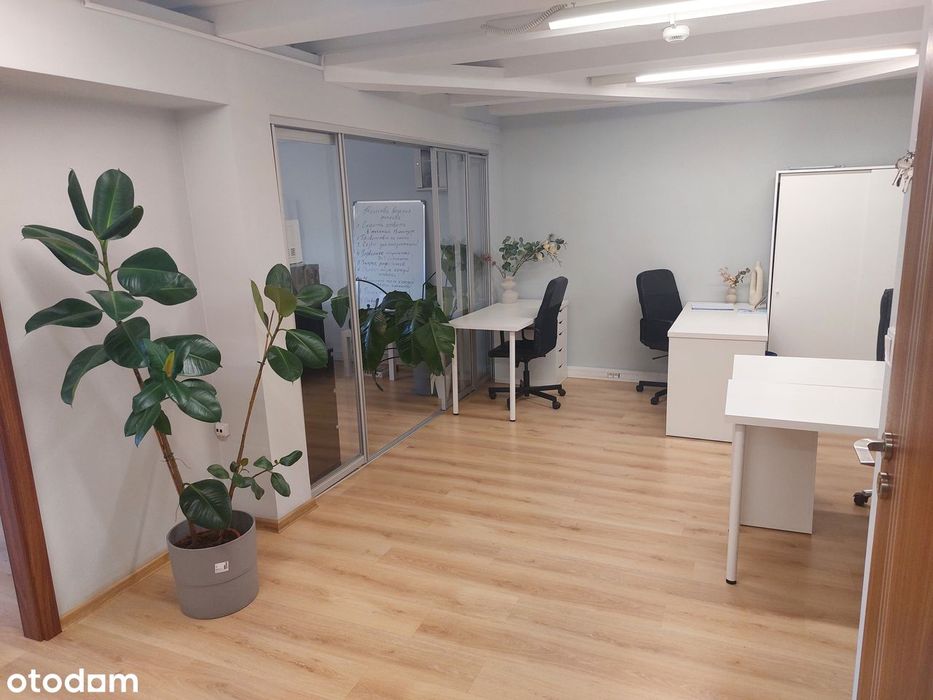 Biuro 54 m2 w centrum wynajmę (bezpośrednio)