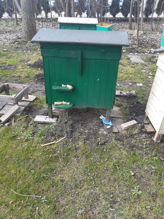 Ule warszawskie poszerzane