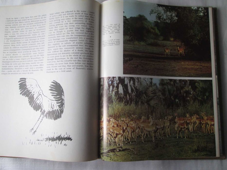 Livro Santuário Bravio José Maria d'Eça de Queiroz 1964