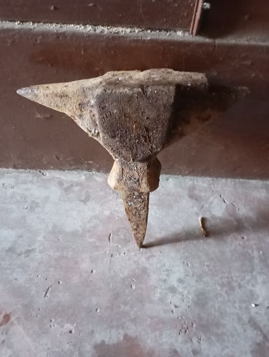 Vendo esta bigona muito bonito