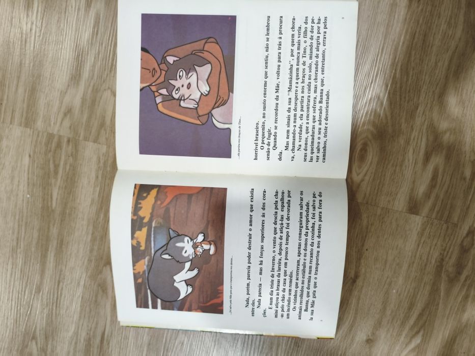 Livro de BD Banna e Flapi