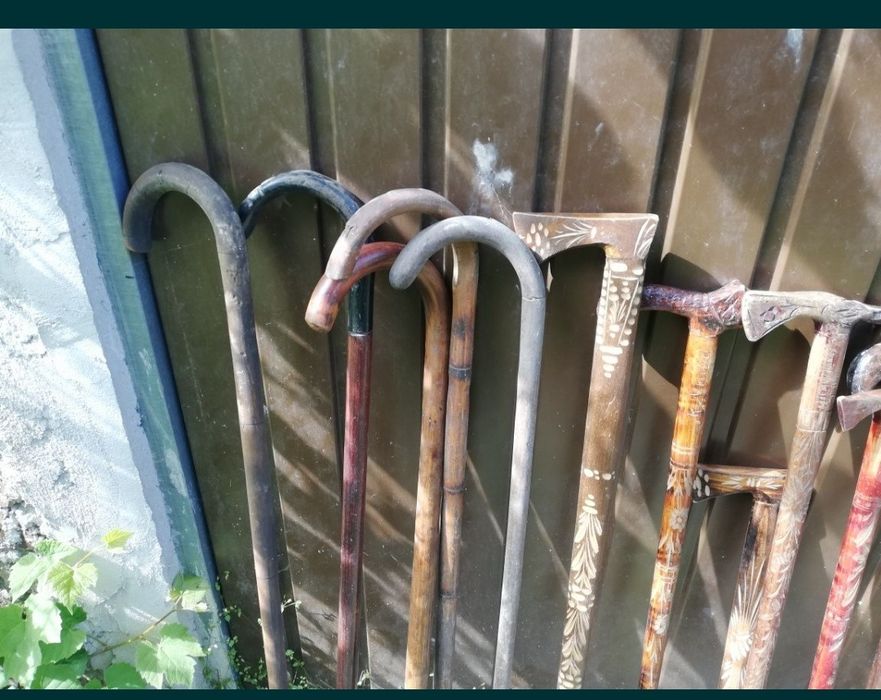 Stare drewniane laski, laska 20 sztuk cena do negocjacji