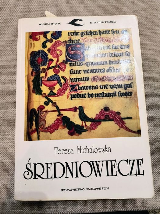 Średniowiecze Michałowska PWN