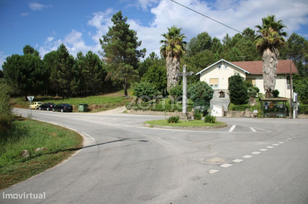 Terreno com pinhal e e mato a 15 minutos de Viseu