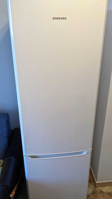 Холодильник з морозильною камерою Samsung RL48RLBSW