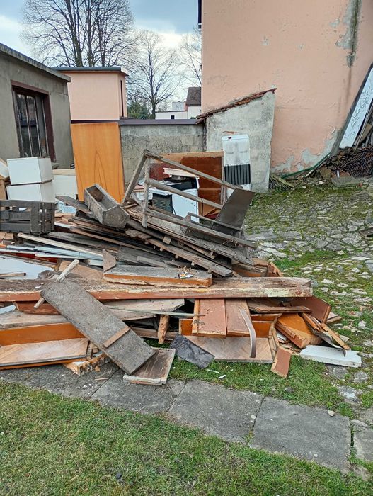 Oddam drzewo za darmo