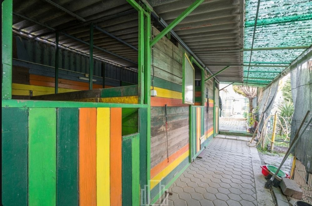 Aluga-se Box com Paddock + Água – Válega