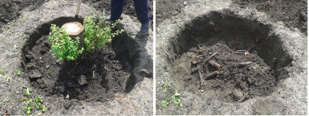 Корчевание пней Копка пней Расчистка участков Уборка дач домов