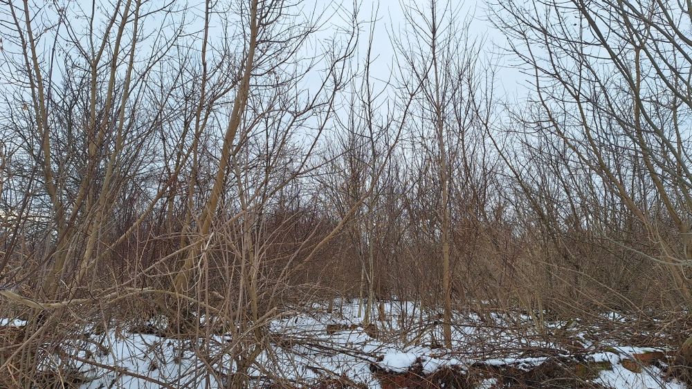 Продам ділянку землі