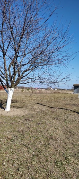 Продам земельну ділянку 12 соток