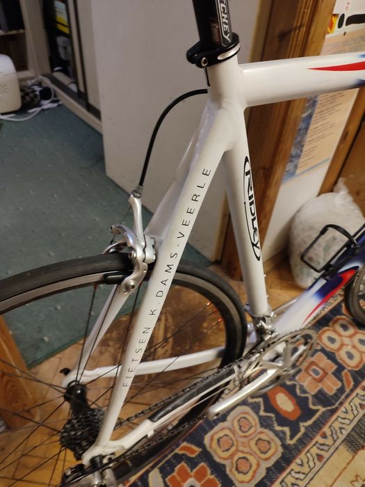 Rower Ridley Icarus, rama 58, osprzęt Campagnolo