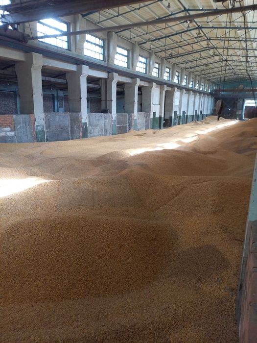 Коммерческая недвижимость по адресу ул. Складская (площадь 3000 м²) - Atlanta.ua - фото 9