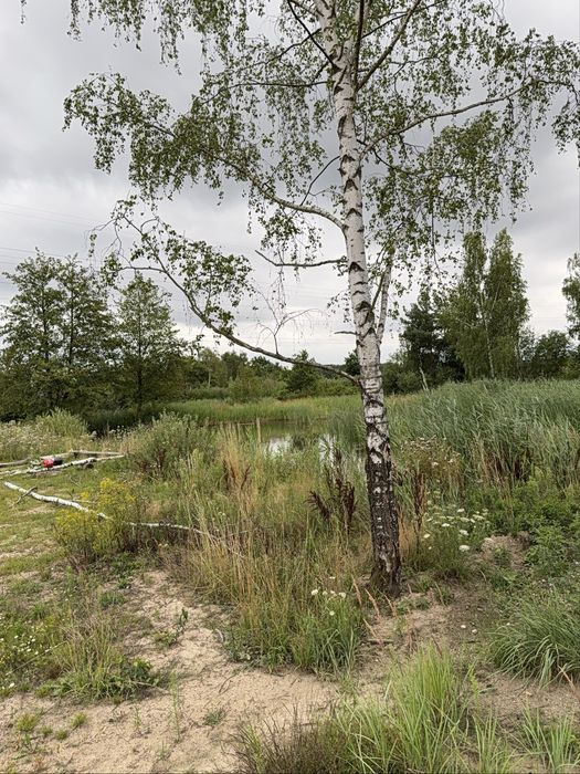 Działka rolna 2,62 ha – Podbrzezie Górne, gm. Kożuchów - Widok 5