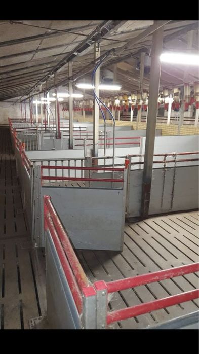 Wygrodzenia Tucznik- warchlak