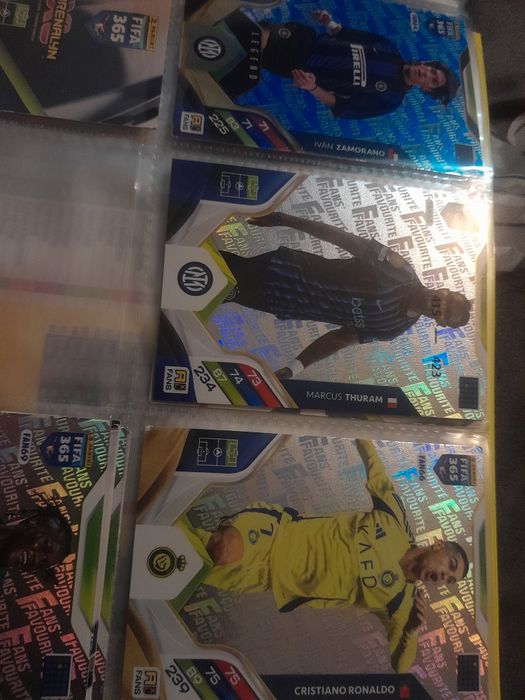 Karty panini album z 2026 fifa