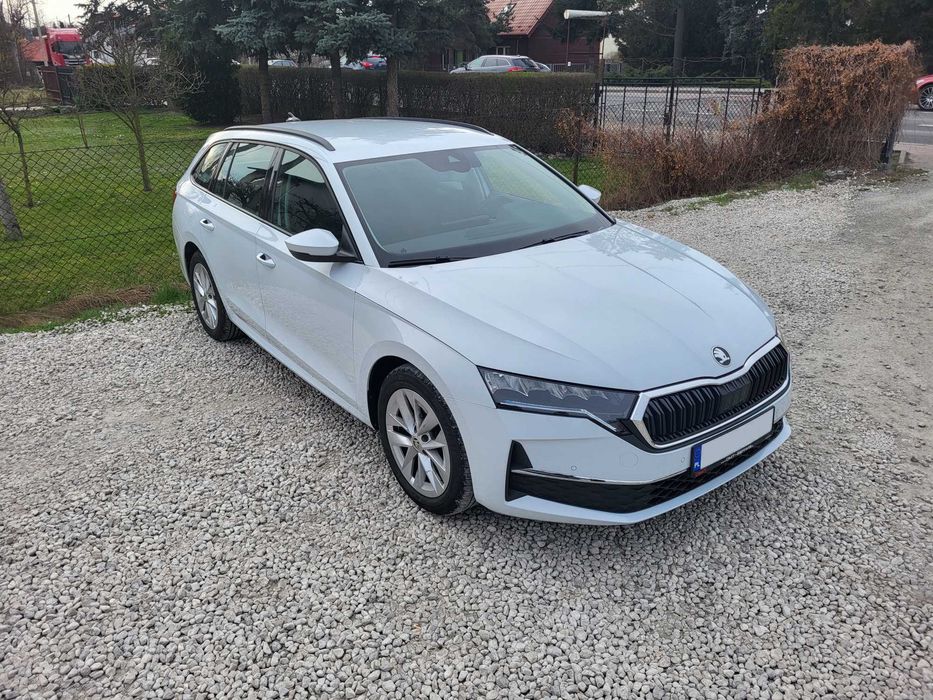 Wynajem - Skoda Octavia - Seat Leon - Duży wybór samochodów