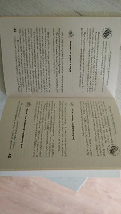 100 лучших блюд из жареного мяса Книга