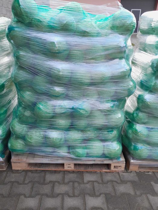 Kapusta biała kal. 3kg+, Kapusta czerwona kal. 1-2kg. szatkowana.
