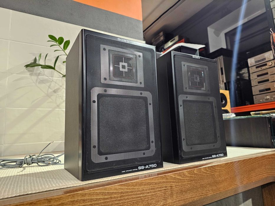Акустика Sony SS-A750 50Вт