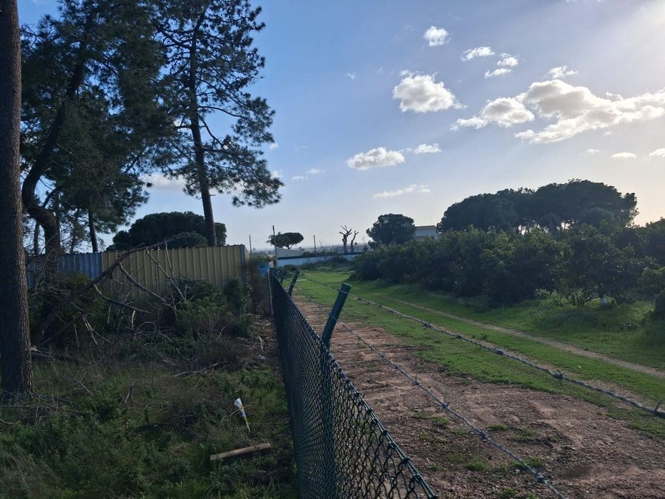 Terreno Rústico em Santa Bárbara De Nexe, com vista mar. .
