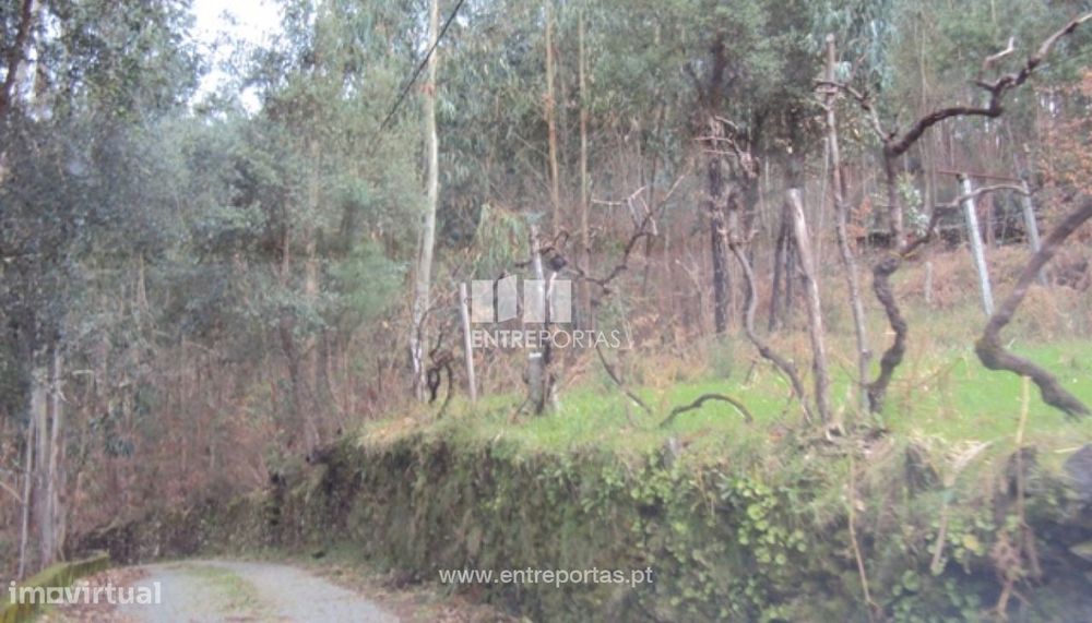 Venda Terreno, Nespereira, Cinfães — Marco, Porto