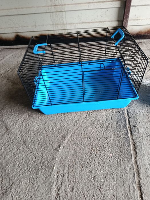 Klatka dla świnki morskiej