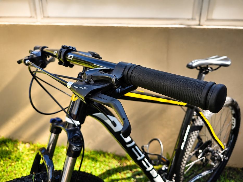 Bicicleta  Deed Flame 296