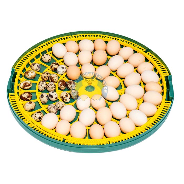 Wylęgarka AUTOMATYCZNA INKUBATOR HAPPY 52 jaj kury kaczki + Akcesoria