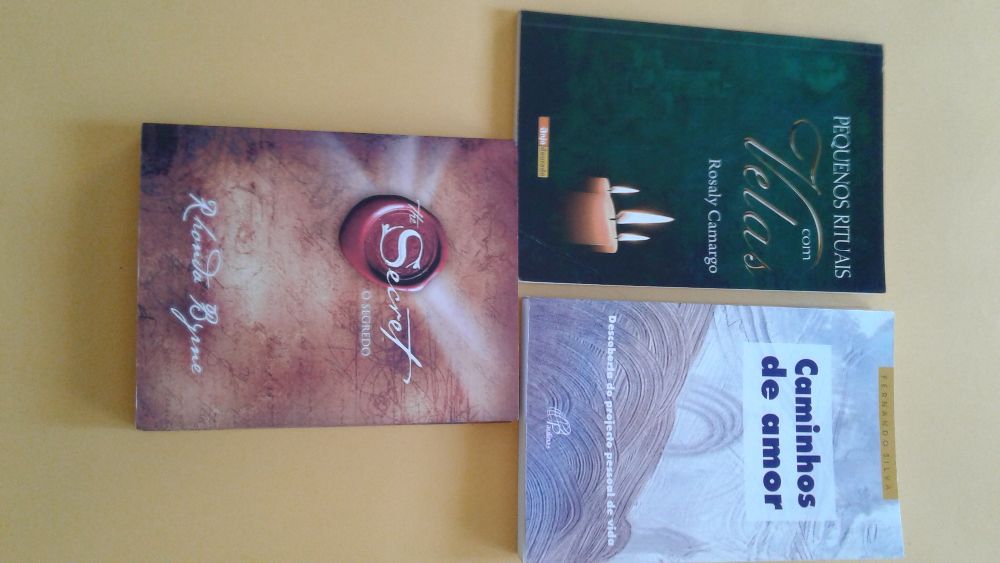 Livros de autoajuda ( O livro da alma, O Segredo etc)