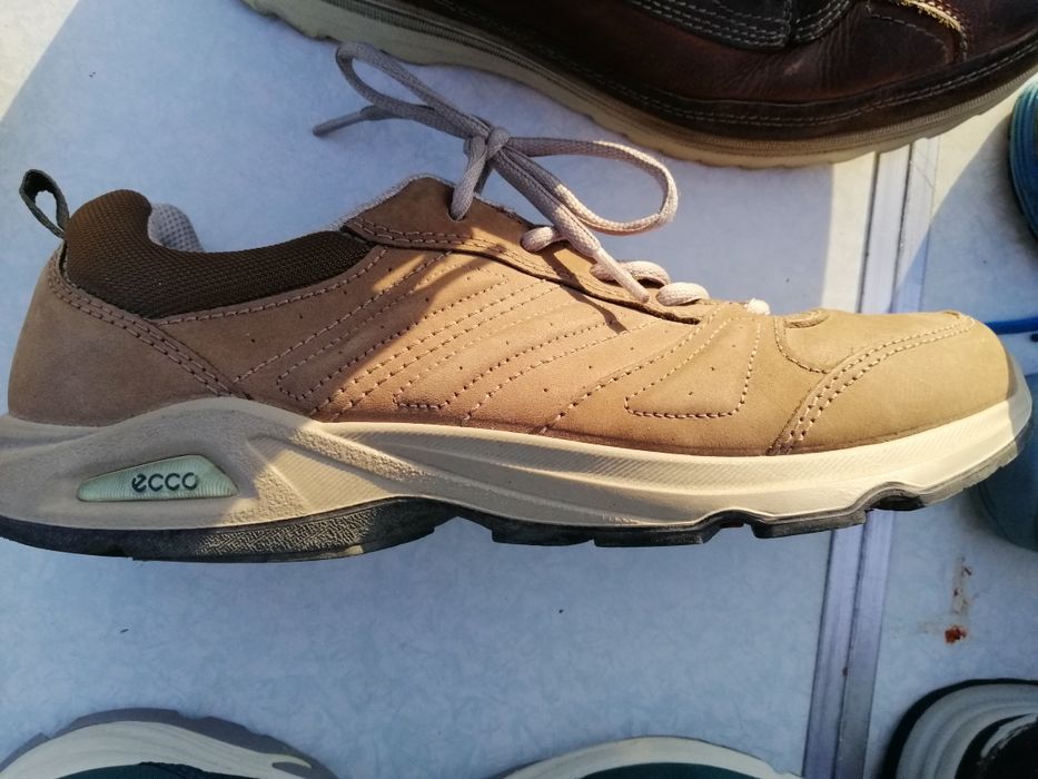 Kickers КLarks осінь 2020.